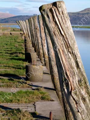 wigtown  harbour